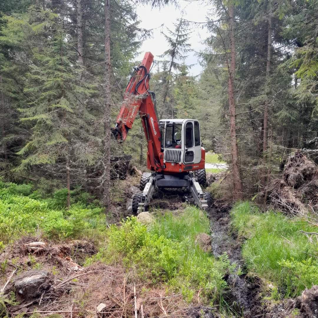 Zemní a výkopové práce - Tomáš Dirn foto 5