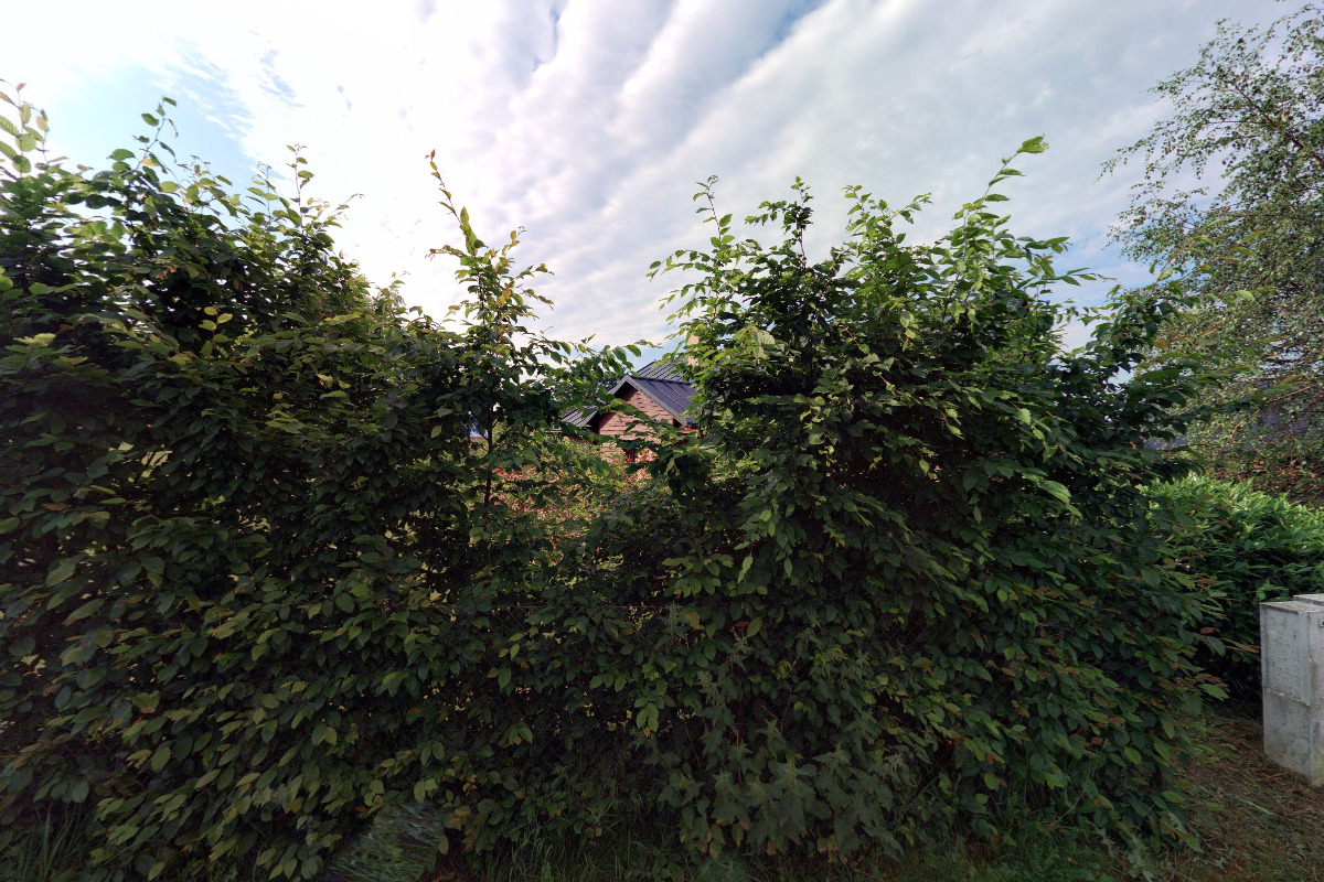 Projektové práce U Lesa