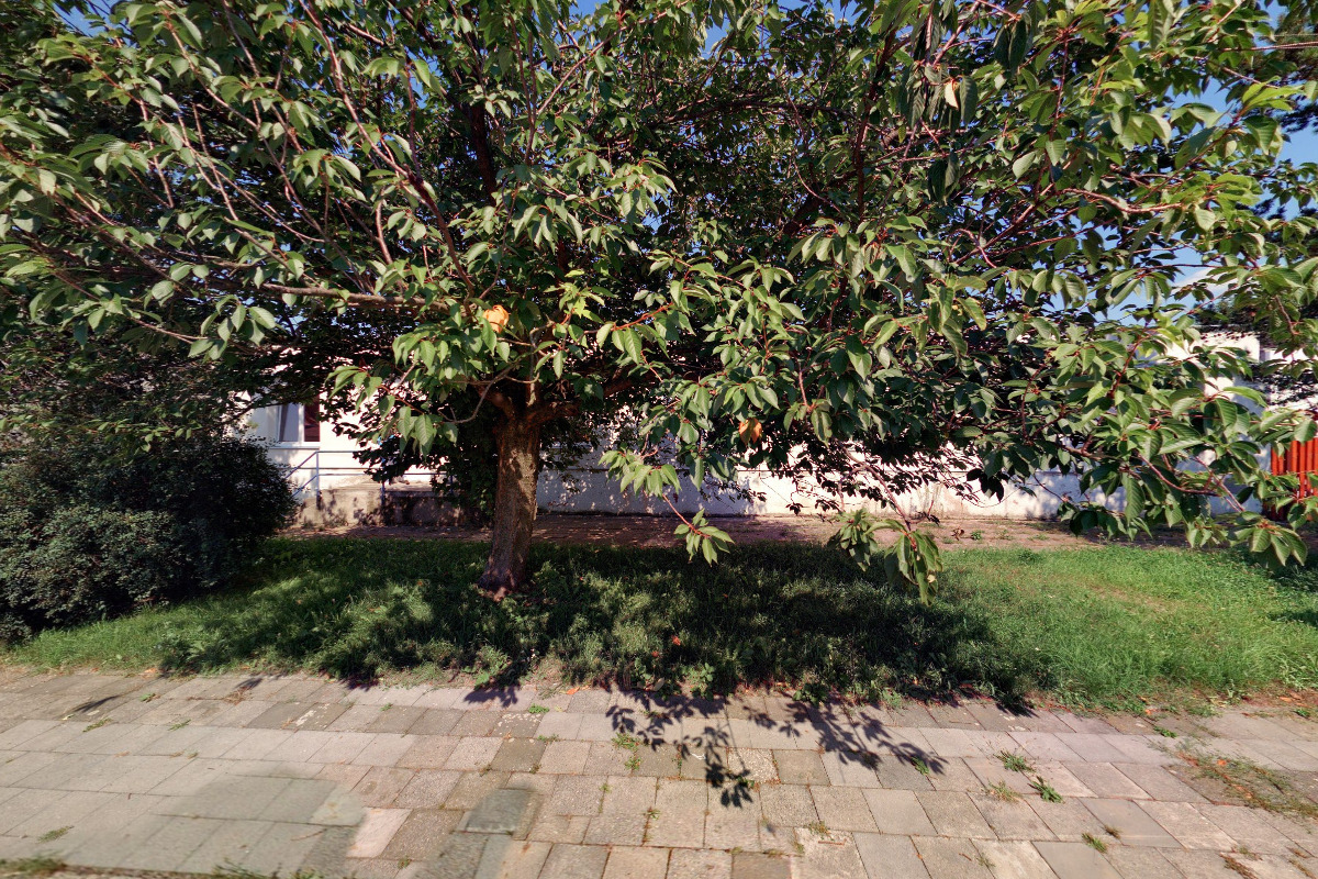 Tisk - Grafie s.r.o.