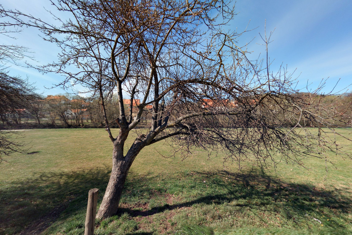 Půjčovna lodí a raftů MAZEL foto 3