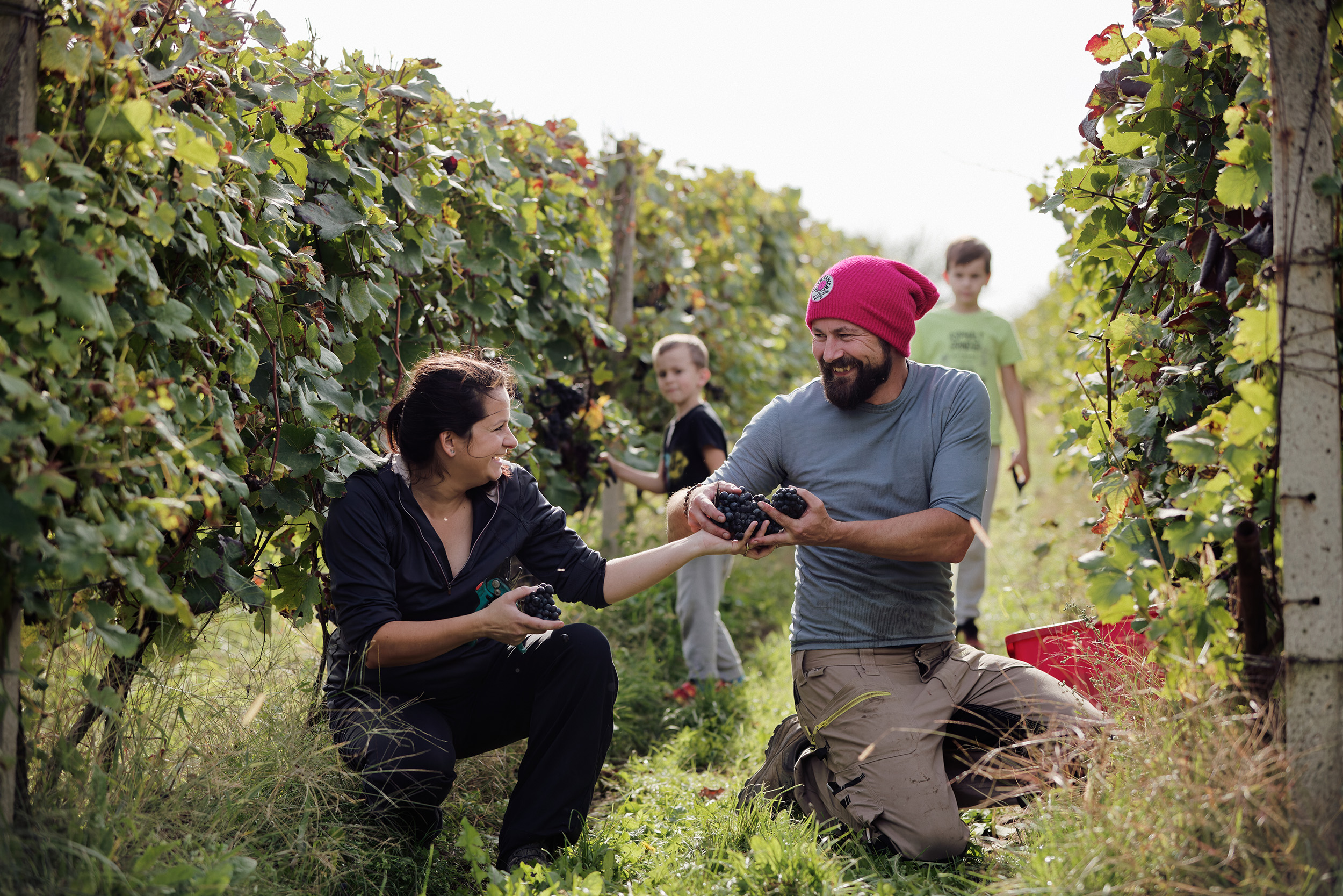 Degustace vína s vinařem