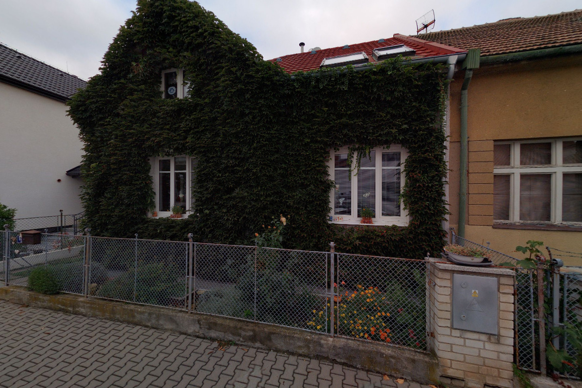 Malíři - Martina Štěpánková