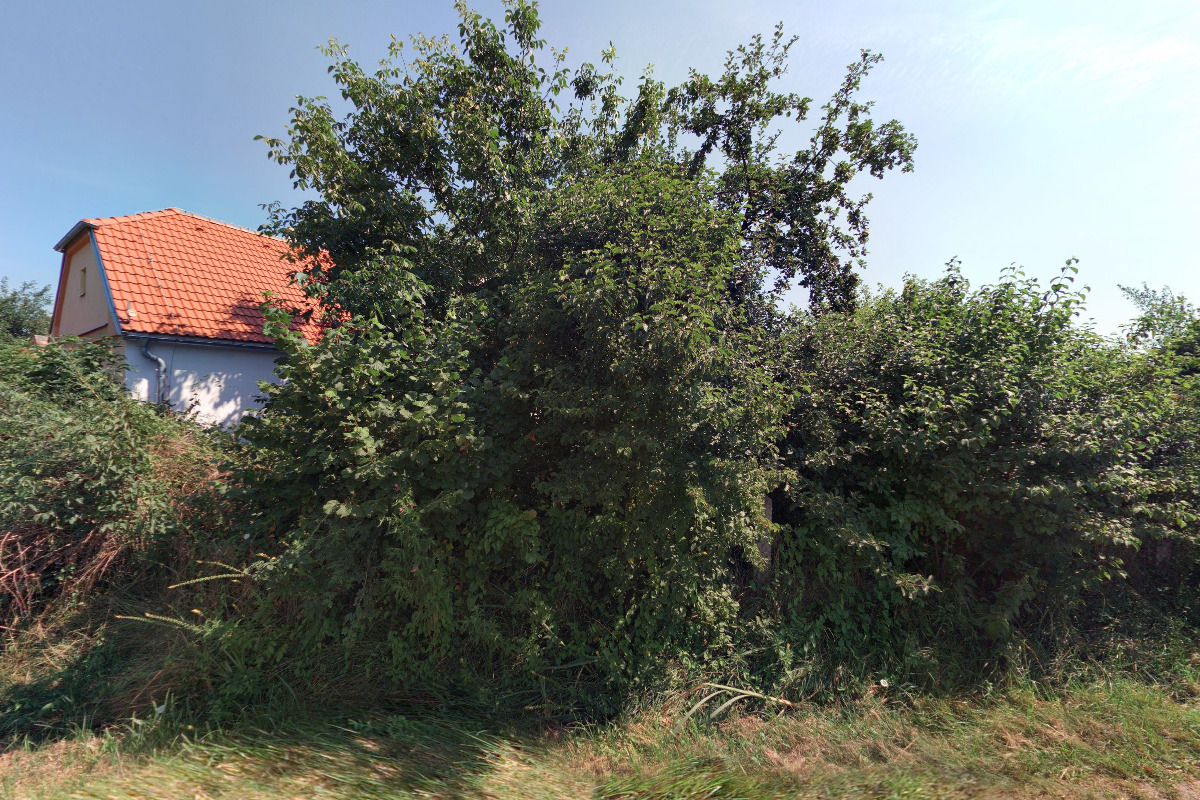 Puvodní keře.cz foto 2