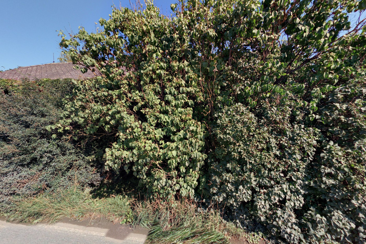 Rudolf Pešan - zakázková výroba nábytku