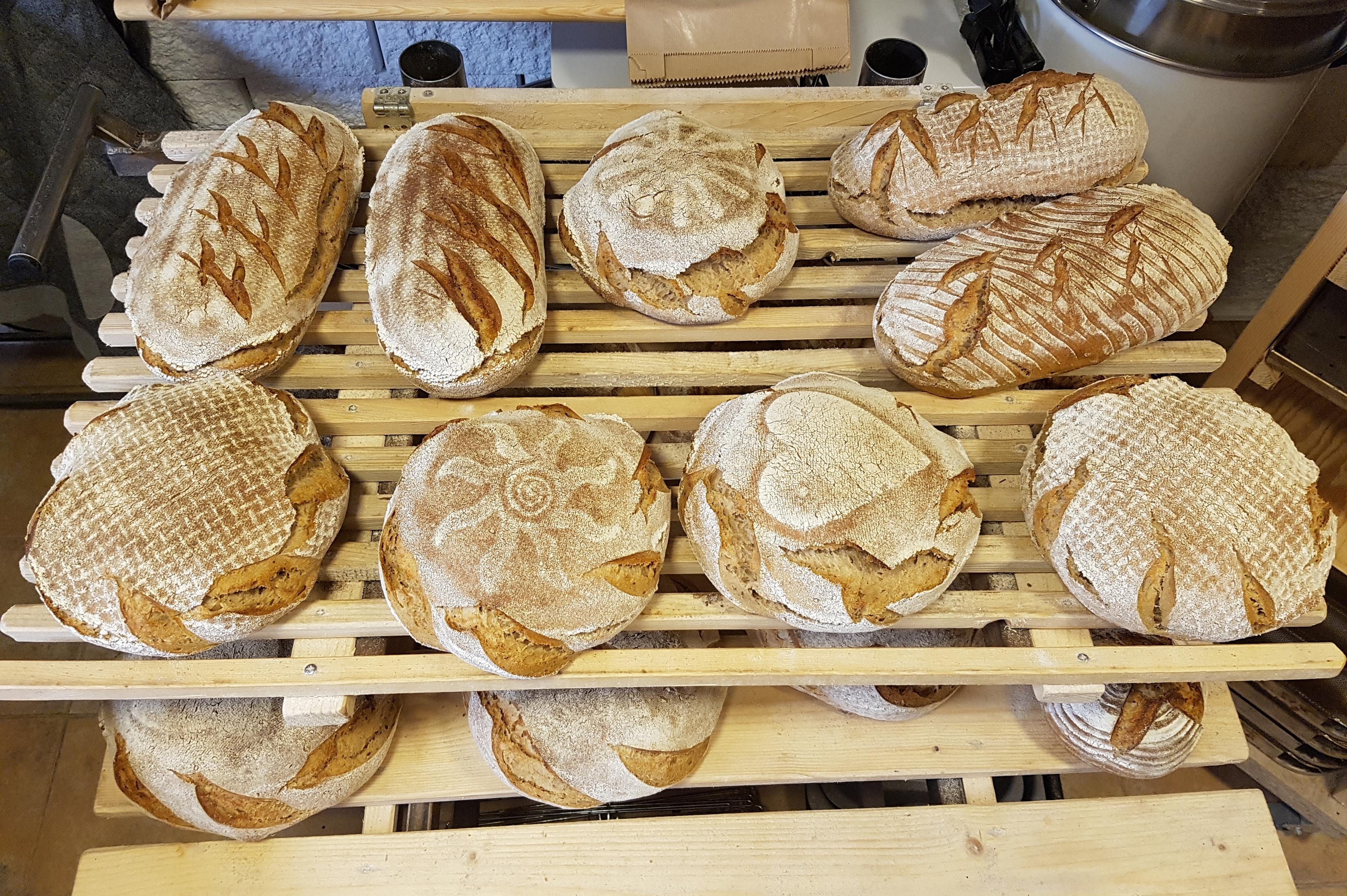 Elektrokola Jaroslav Pek