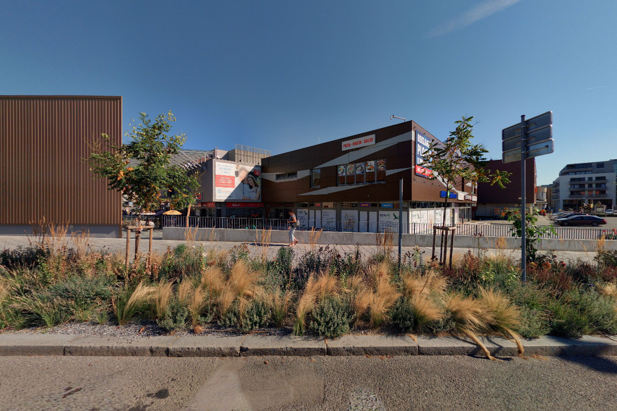 Alena Pelnářová - Květiny