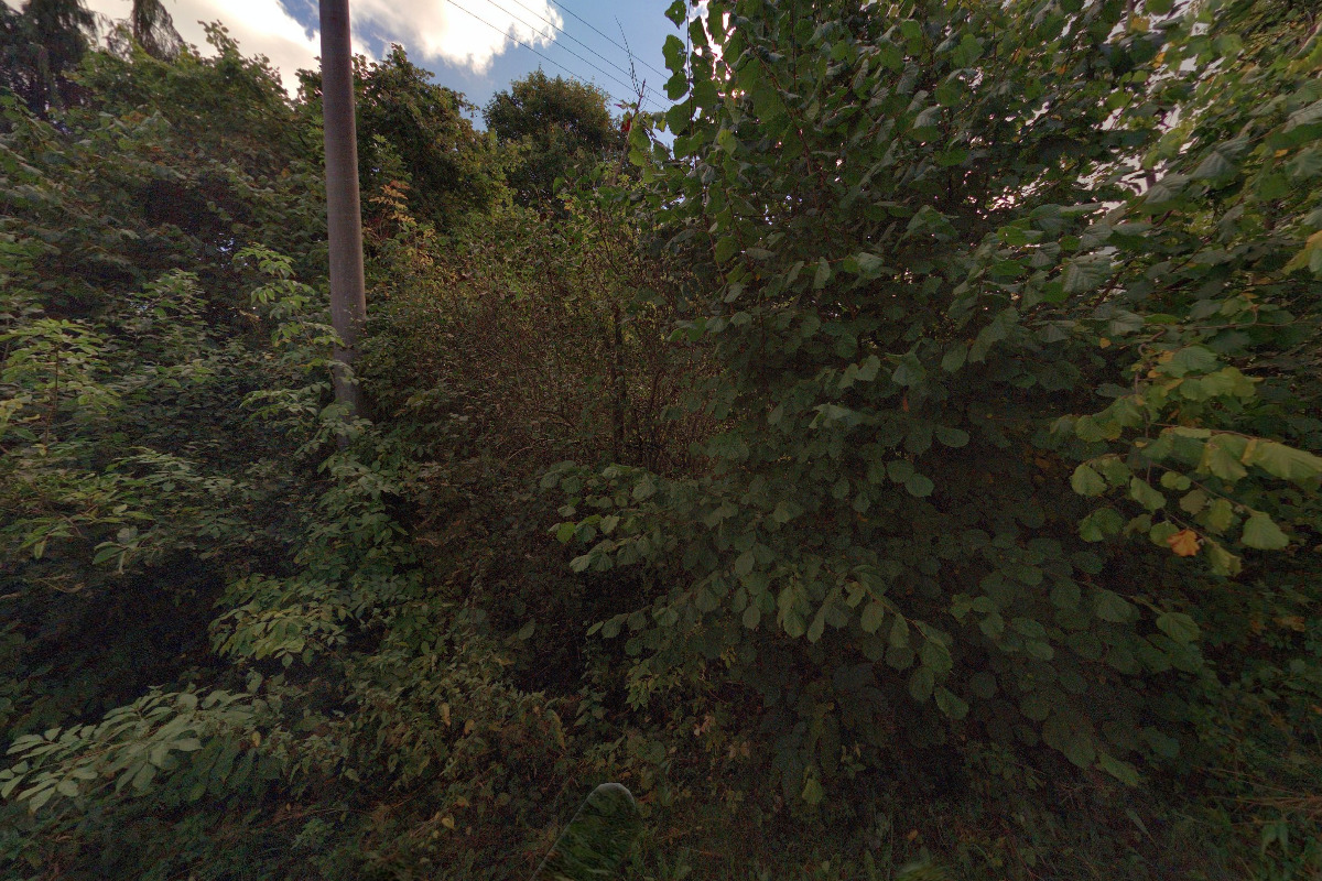 Římskokatolická farnost Olšany u Dačic