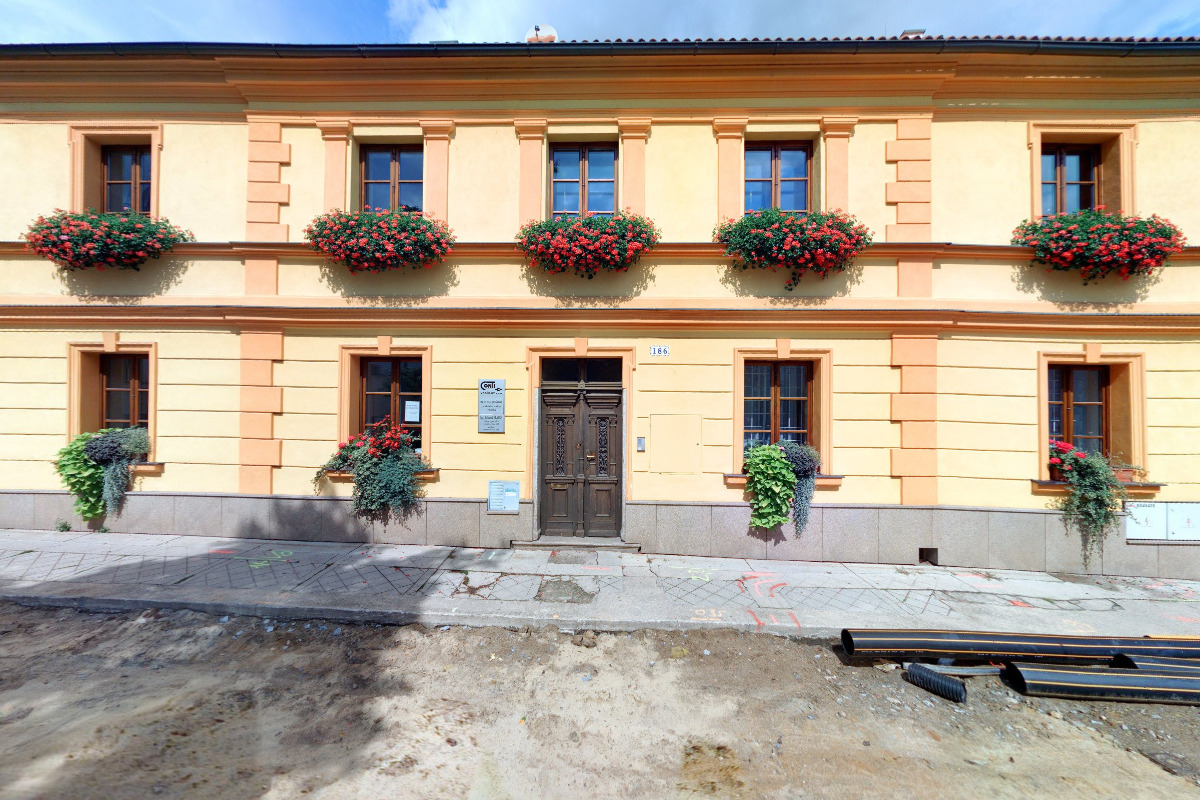 Květinářství Žlutý tulipán foto 5