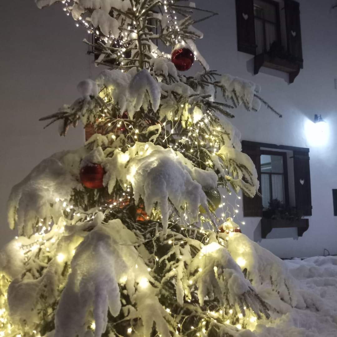 Mlýn pod lesem foto 3