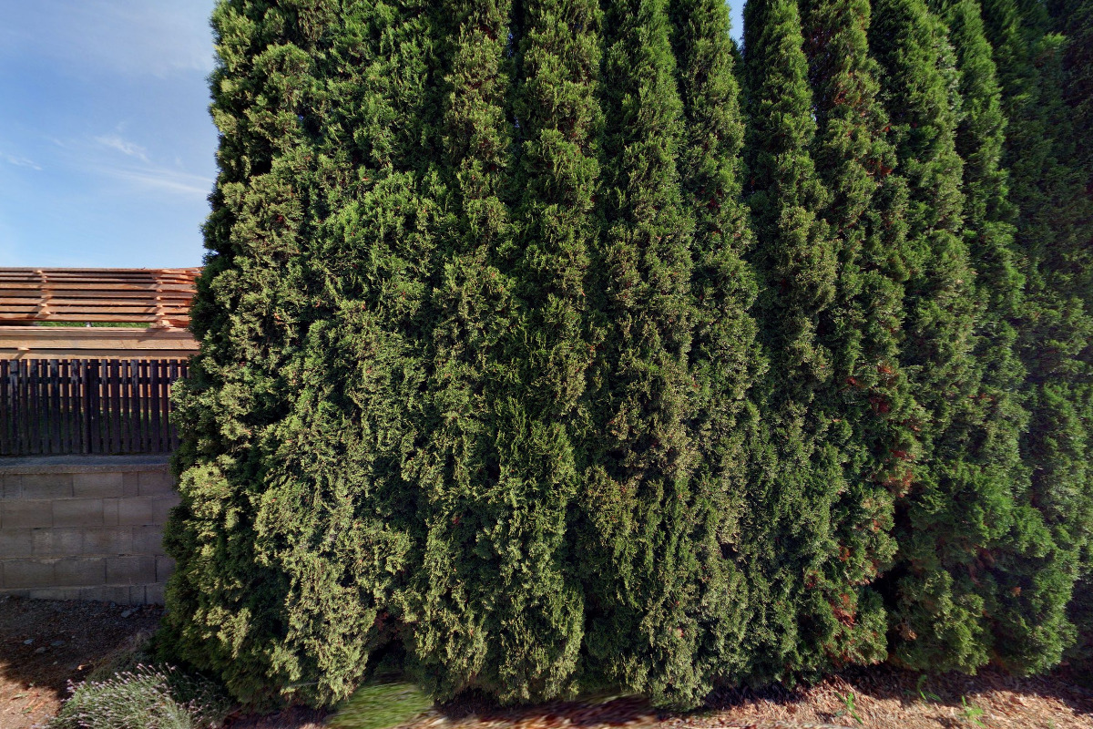 Autolakovna - Pavel Holub