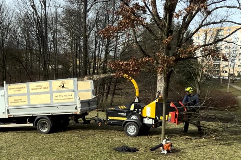 STROMY BEZ RIZIKA s.r.o. foto 6