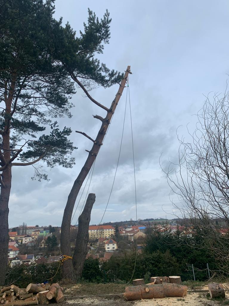 KOMPLEXARBO.cz - Adam Kříž foto 6