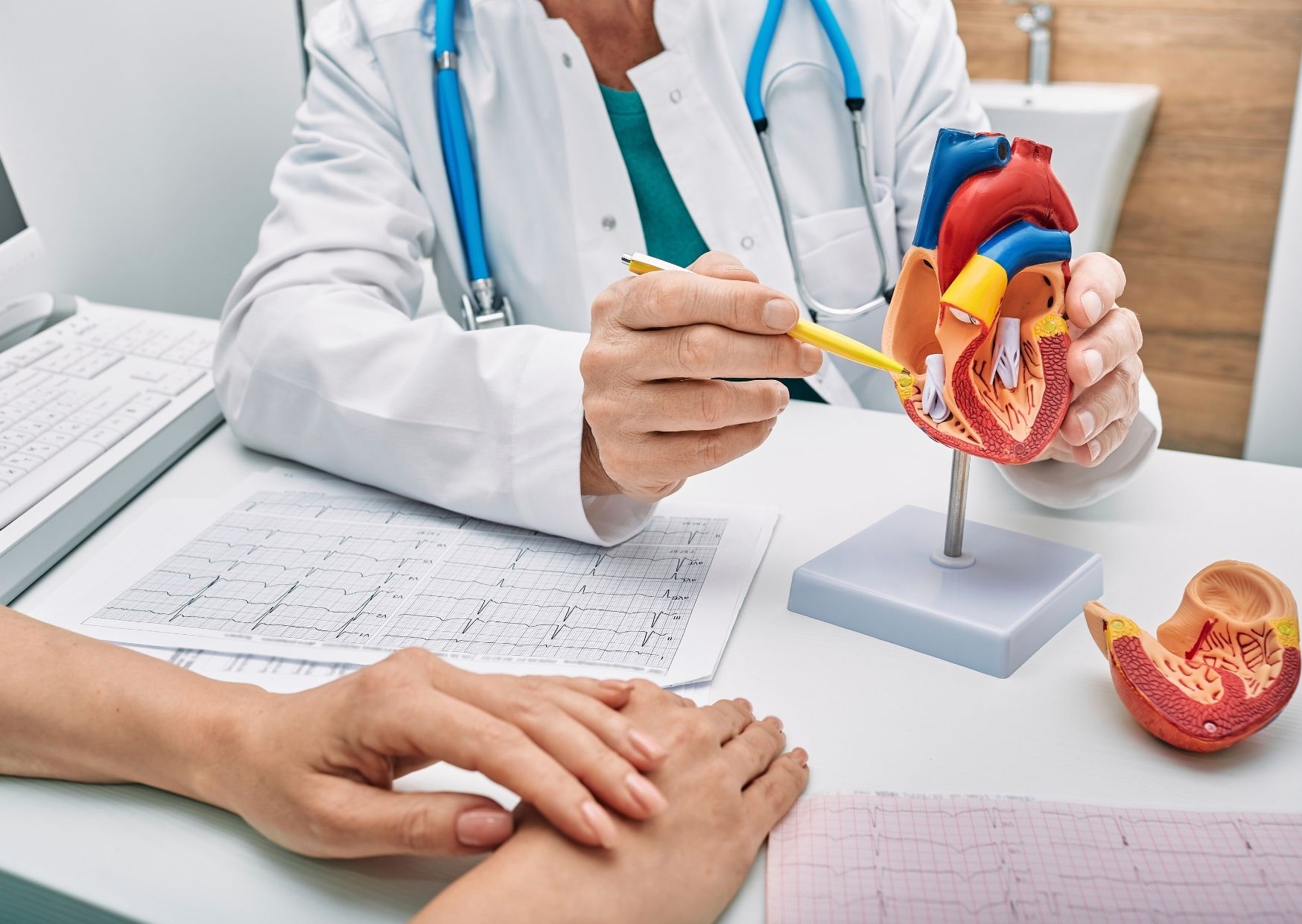 Kardiologické vyšetření