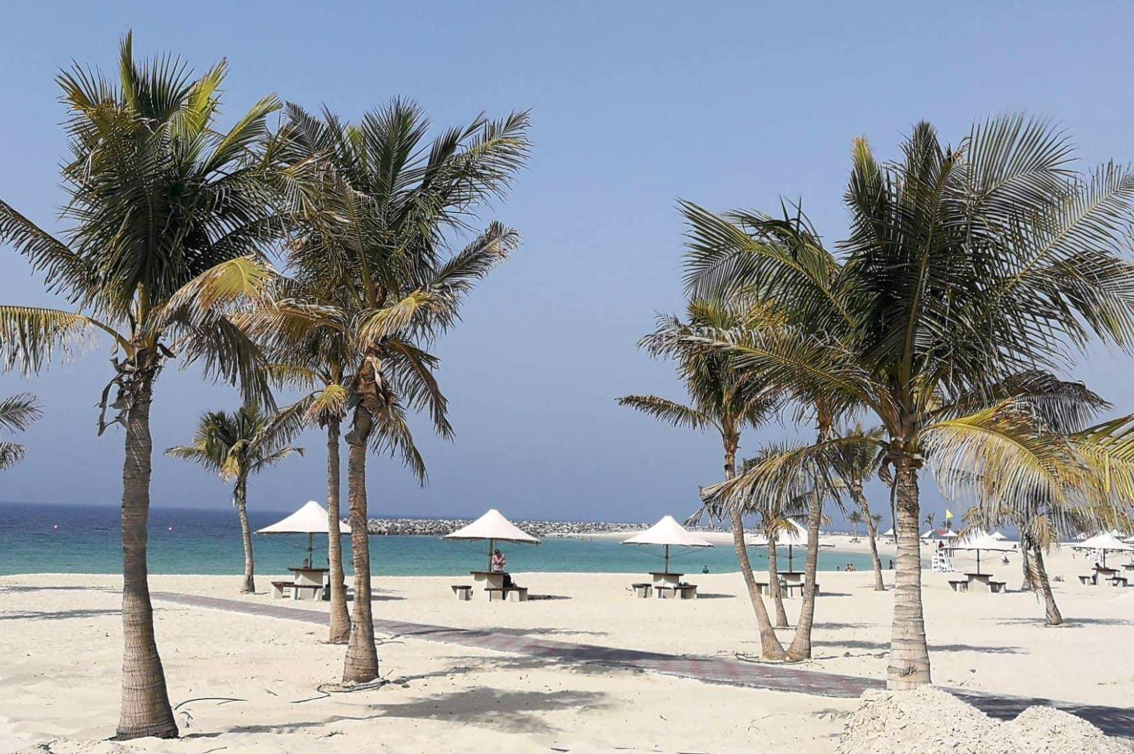 Chocolate Travel Dominikana