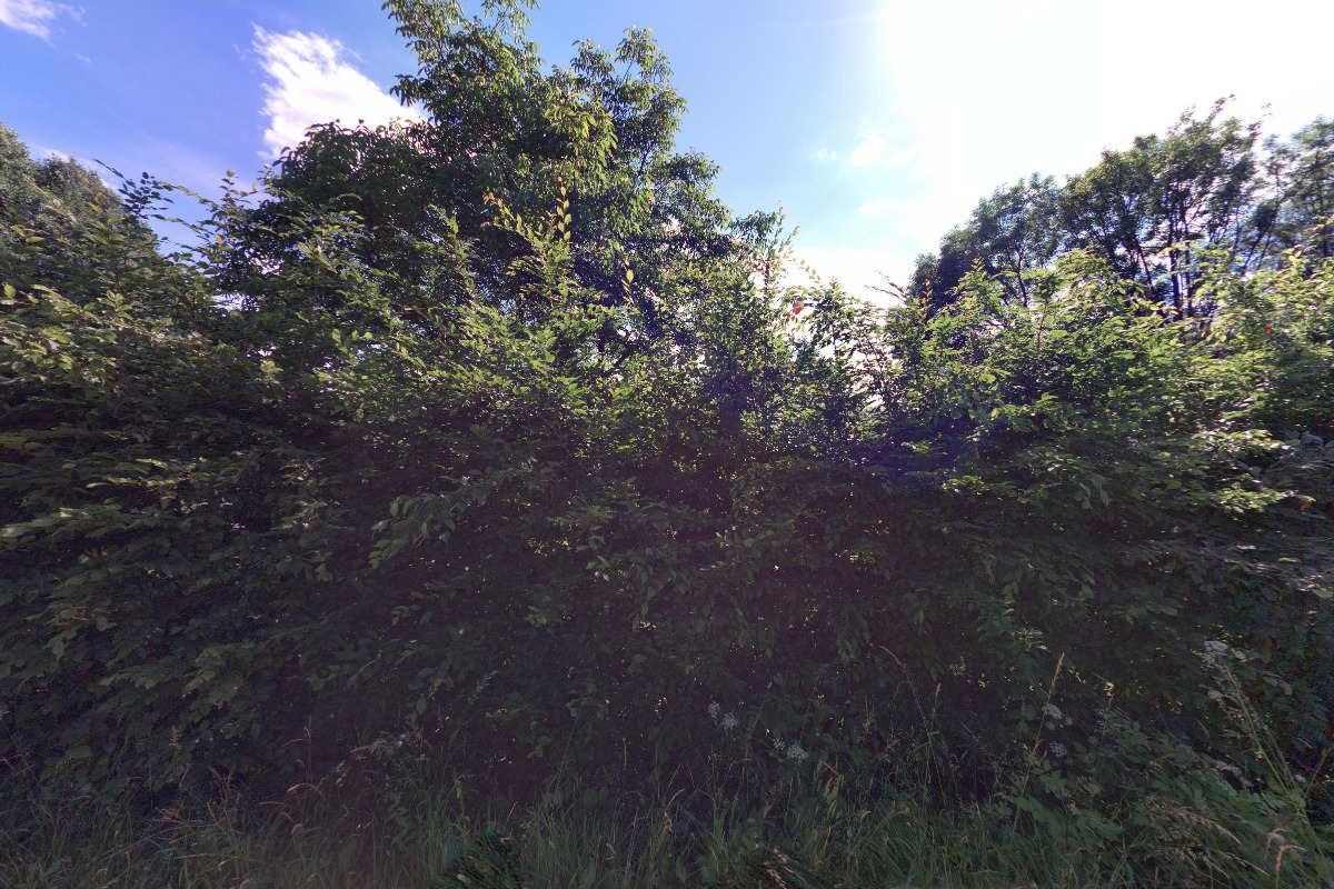 Chaloupka na Kamence