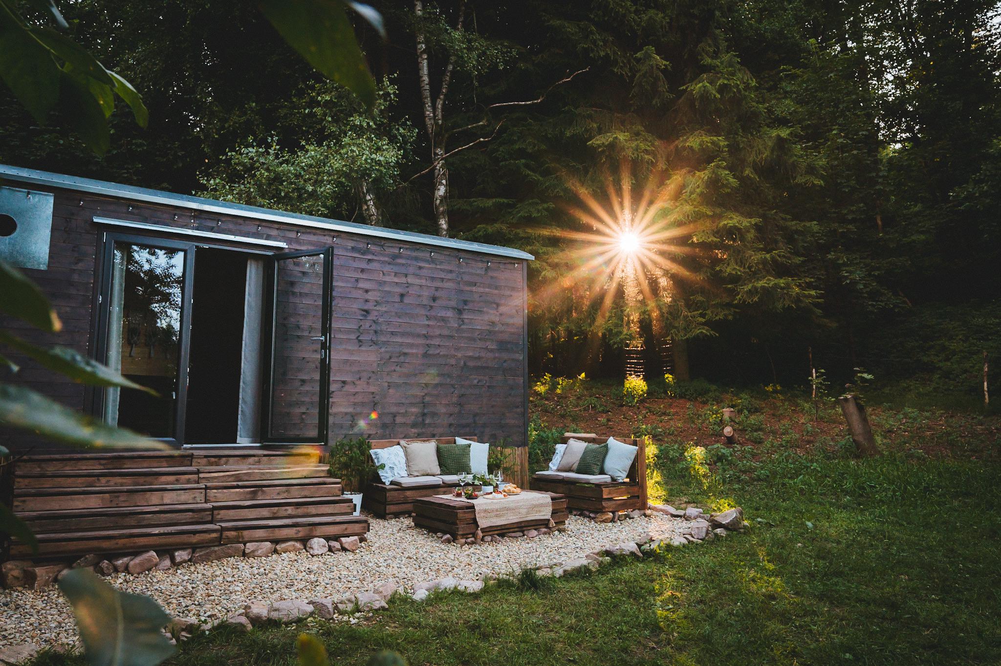 Maringotka V mechu a kapradí