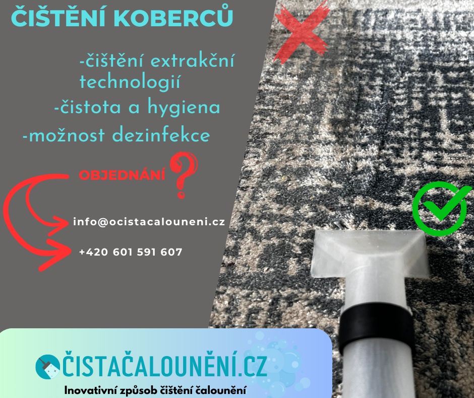 Čištění koberců a sedacích souprav - Lukáš Fait foto 5