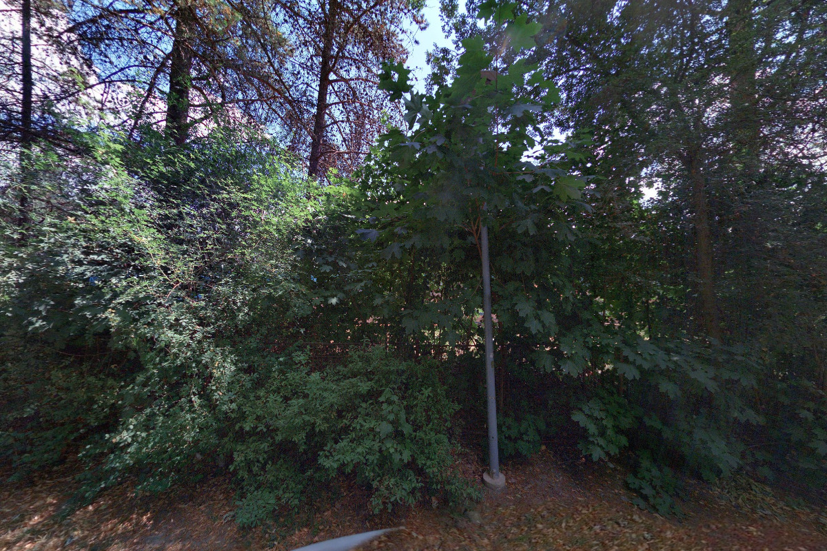 TJ SLAVIA VŠ Plzeň foto 6