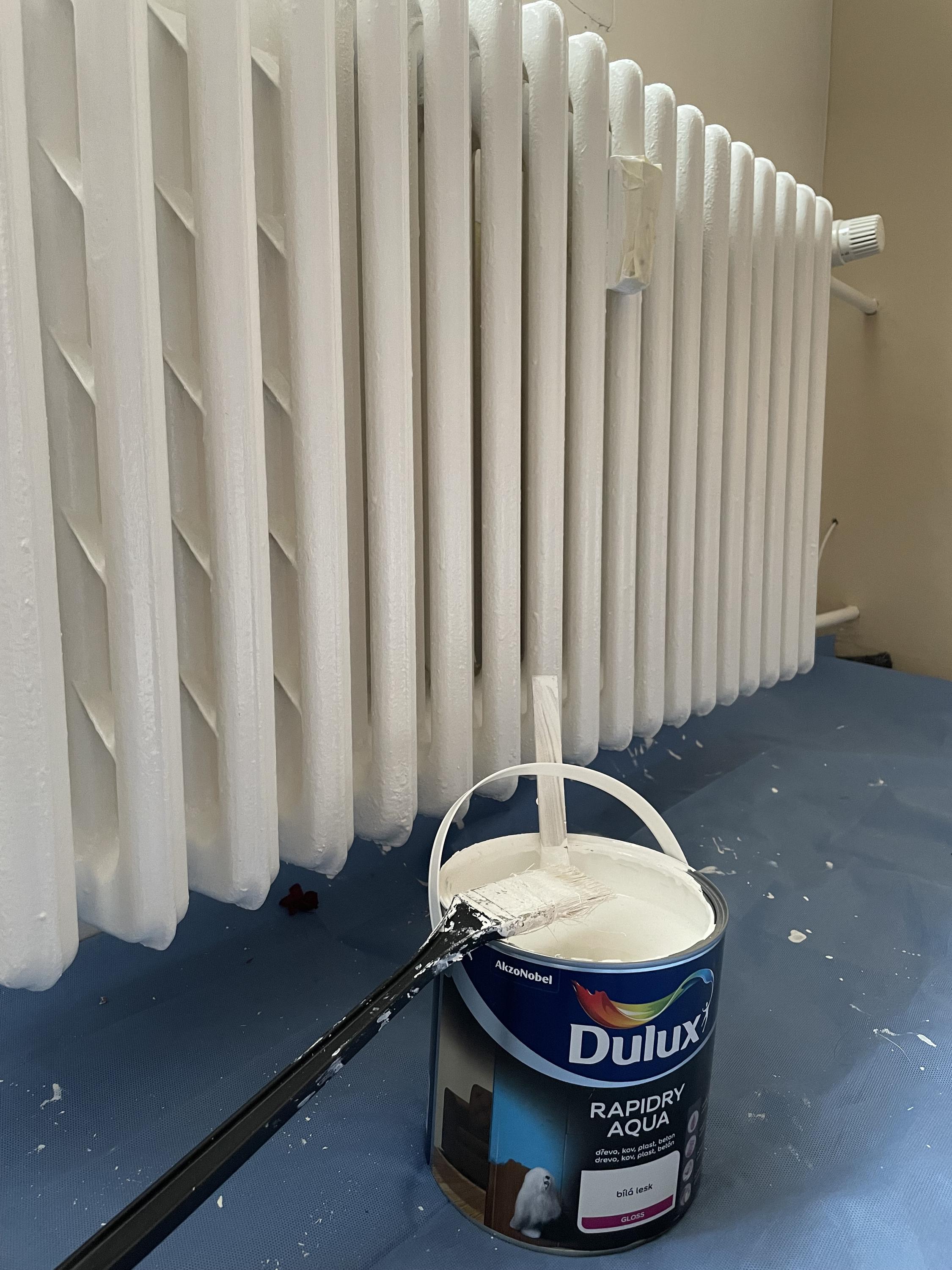 Malíř pokoju / maliřské prace Daniel Bandas foto 6