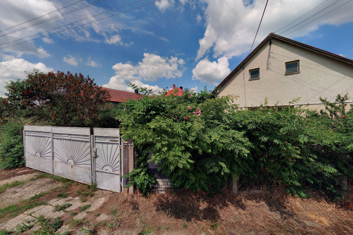 Čertovy brambory foto 2