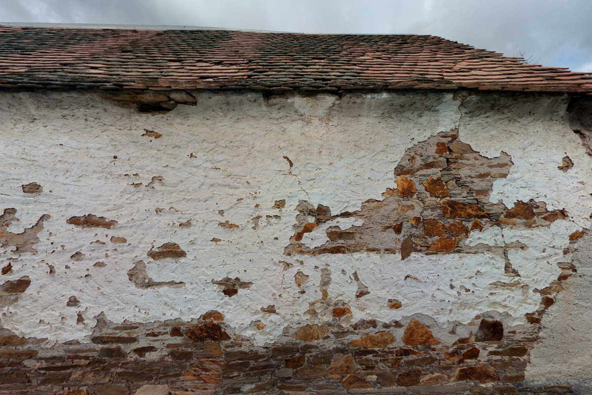 Do psí misky s.r.o. foto 2