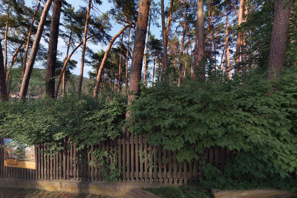 JACHTKLUB MÁCHOVA JEZERA STARÉ SPLAVY