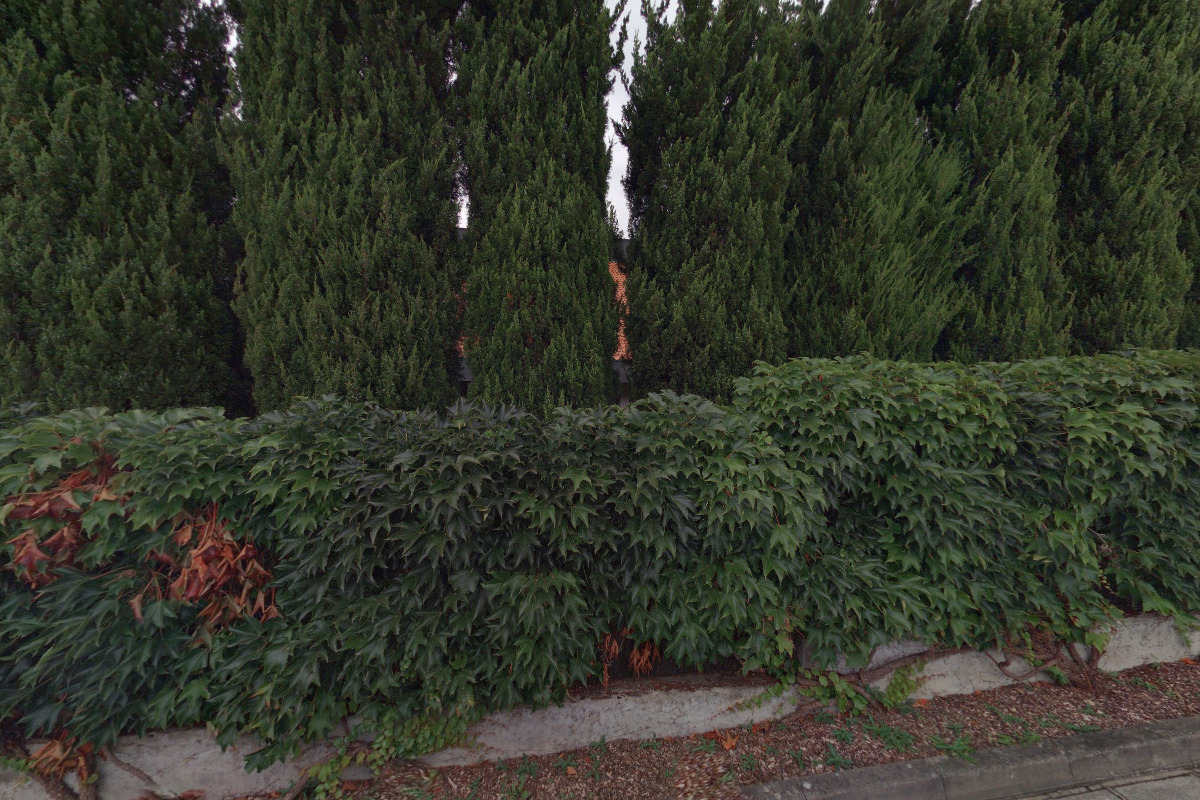 Pohřební ústav - Miluše Menclová foto 2