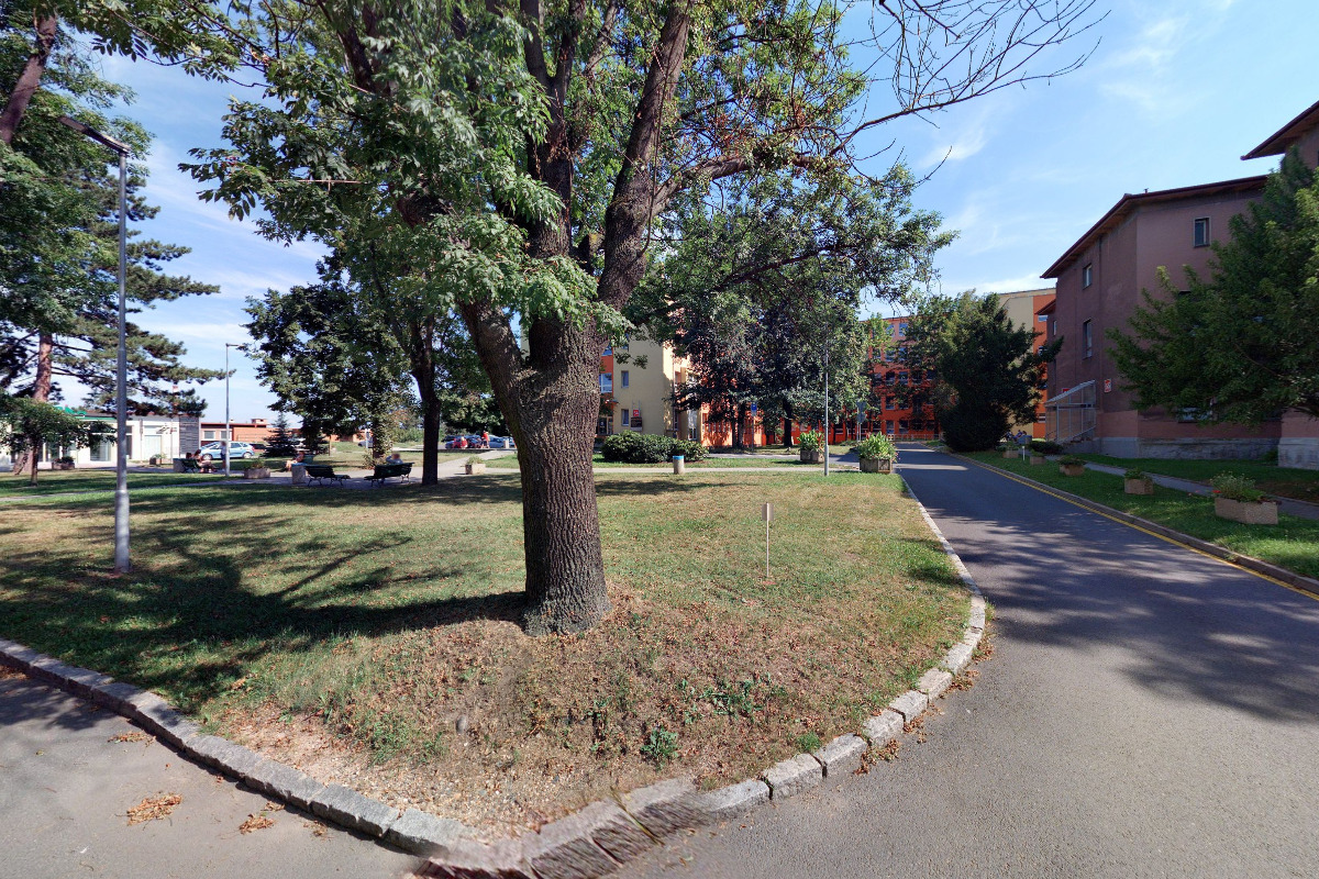 Cévní poradna foto 2