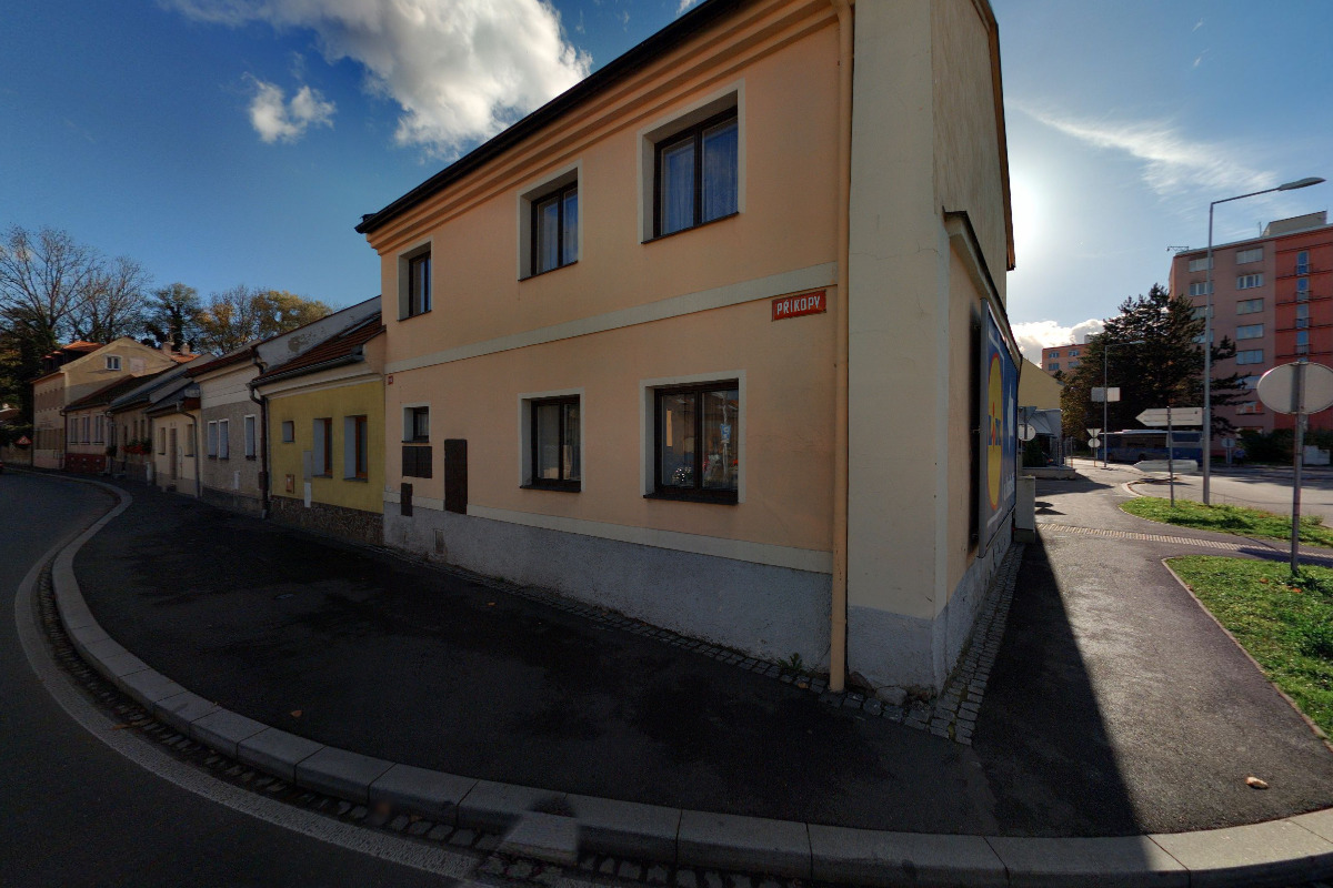 Meduňka - Dagmar Flanderková foto 2