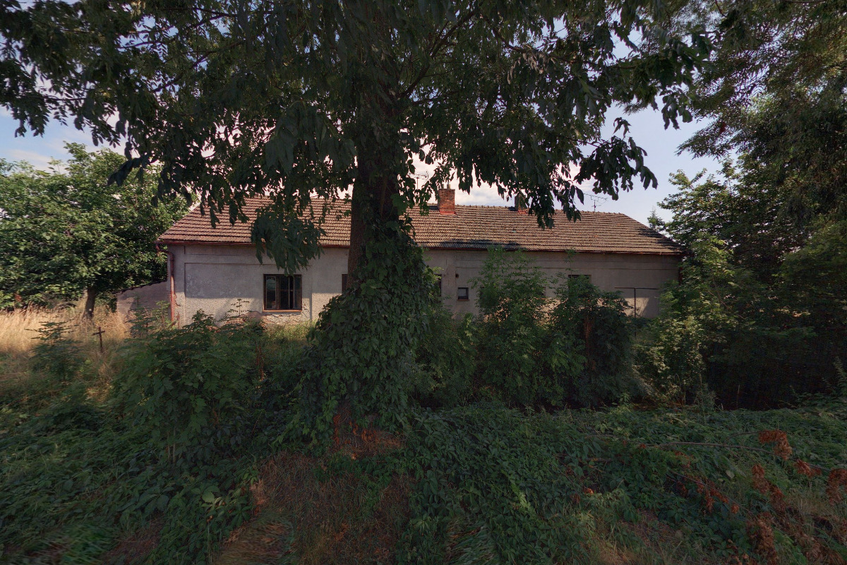 Ing. Olga Cicvárková foto 2