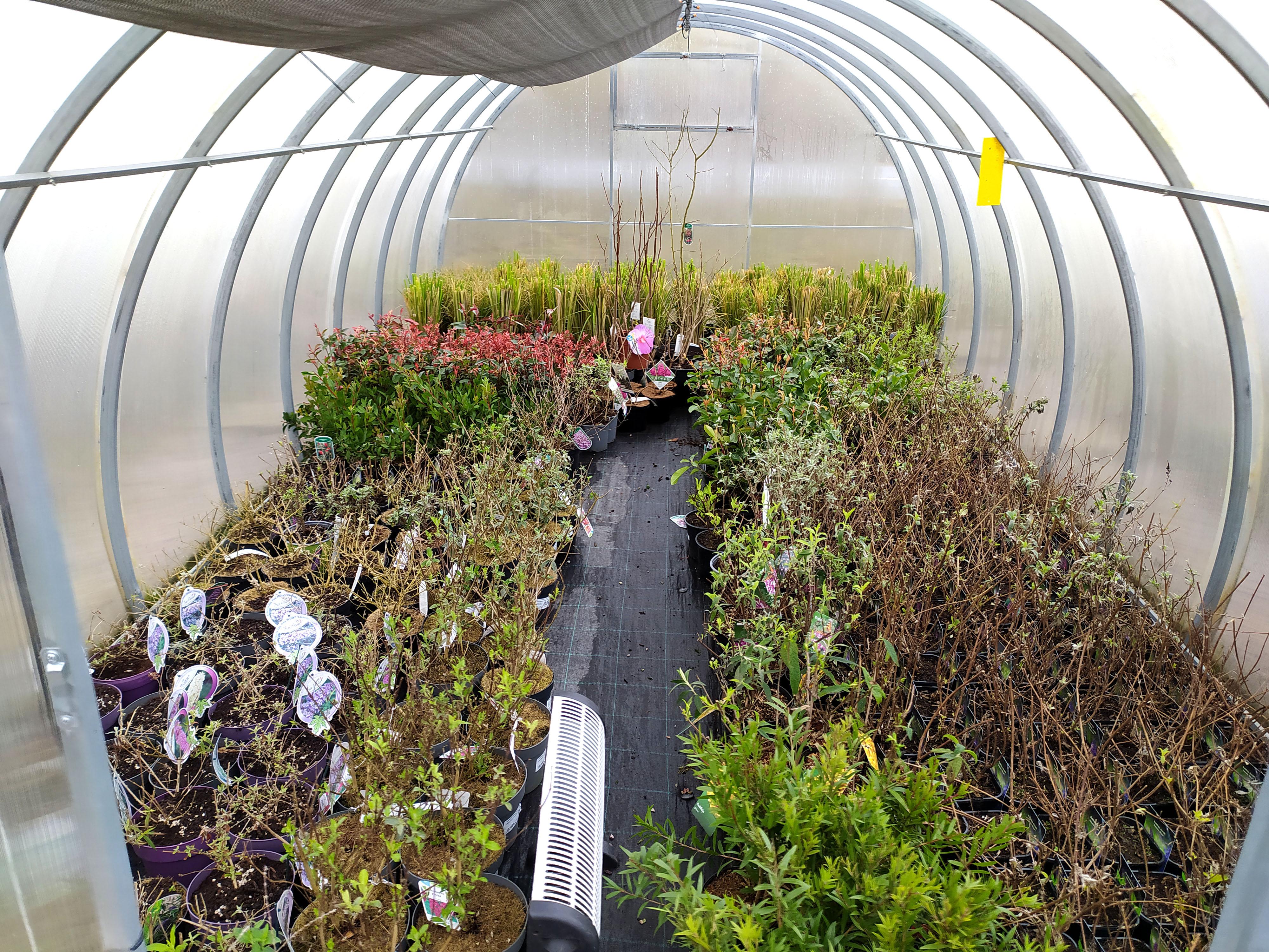 ZAHRADNICTVÍ ZOJA foto 6