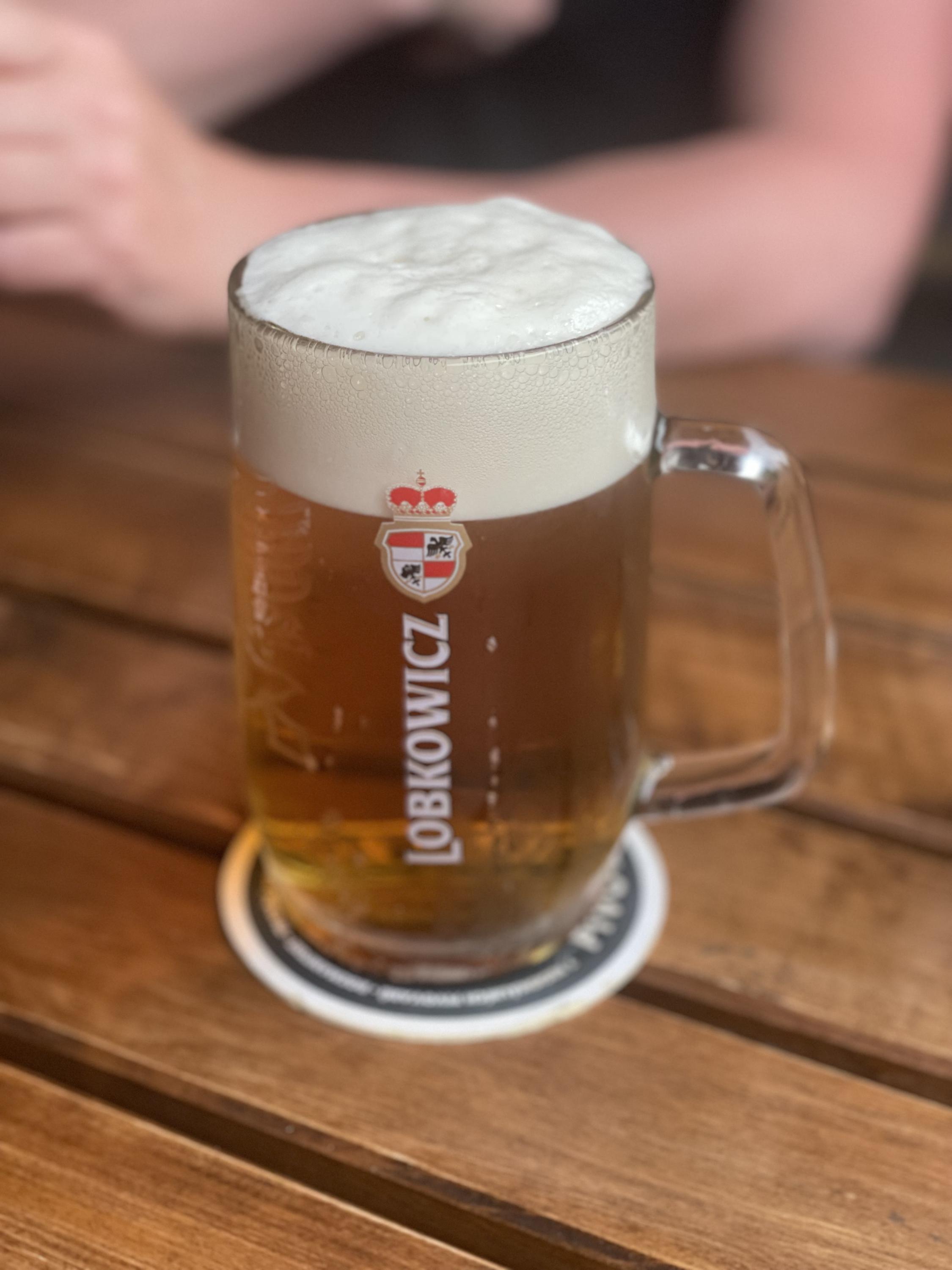 Restaurace u Vondráčků foto 3