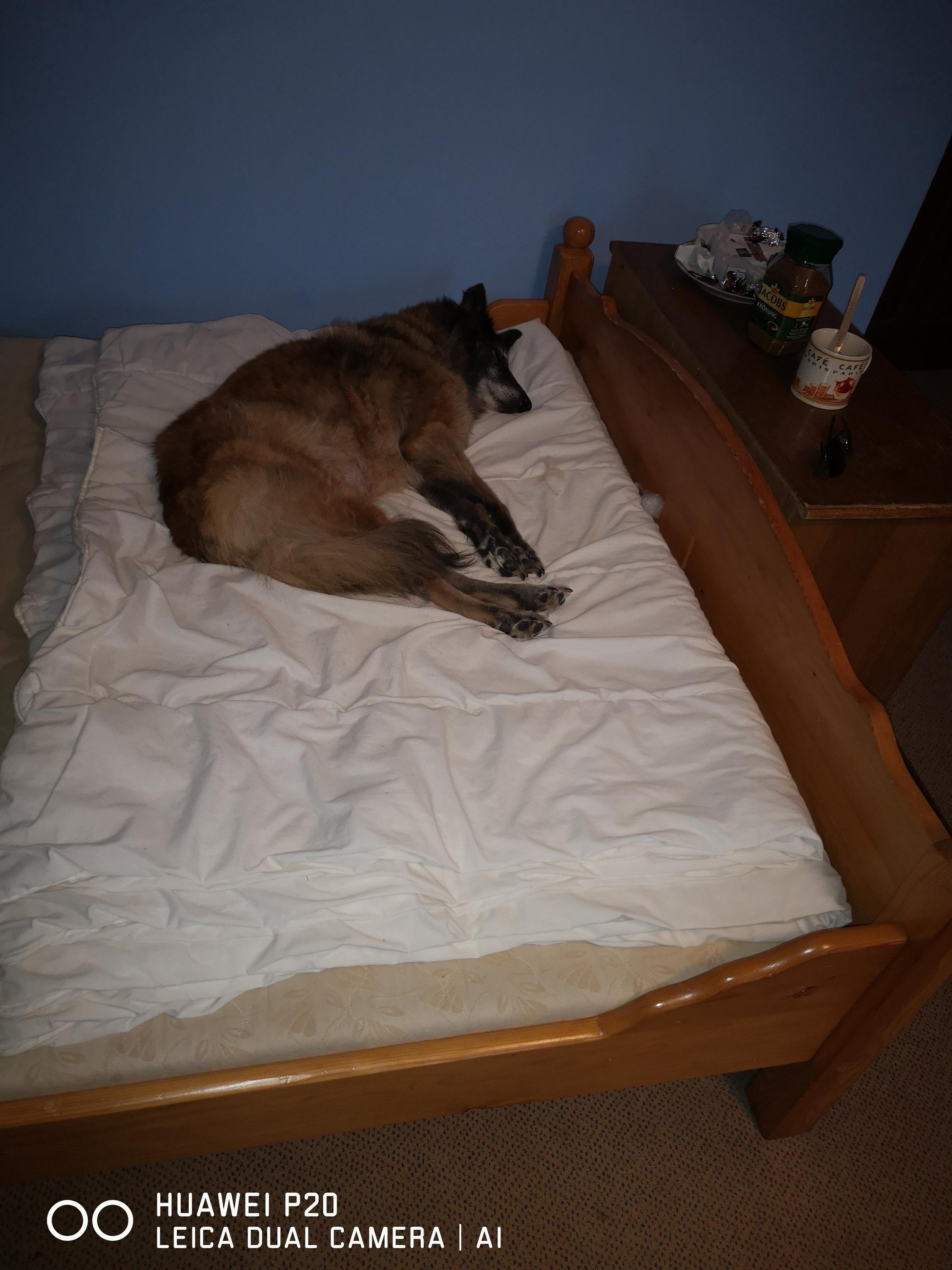 Pension U Mojmíra foto 3