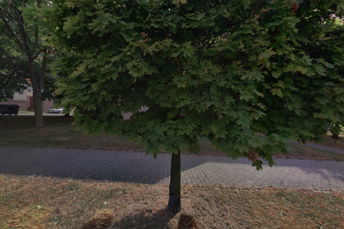 Geodetické služby Plzeň, spol. s r.o. foto 2
