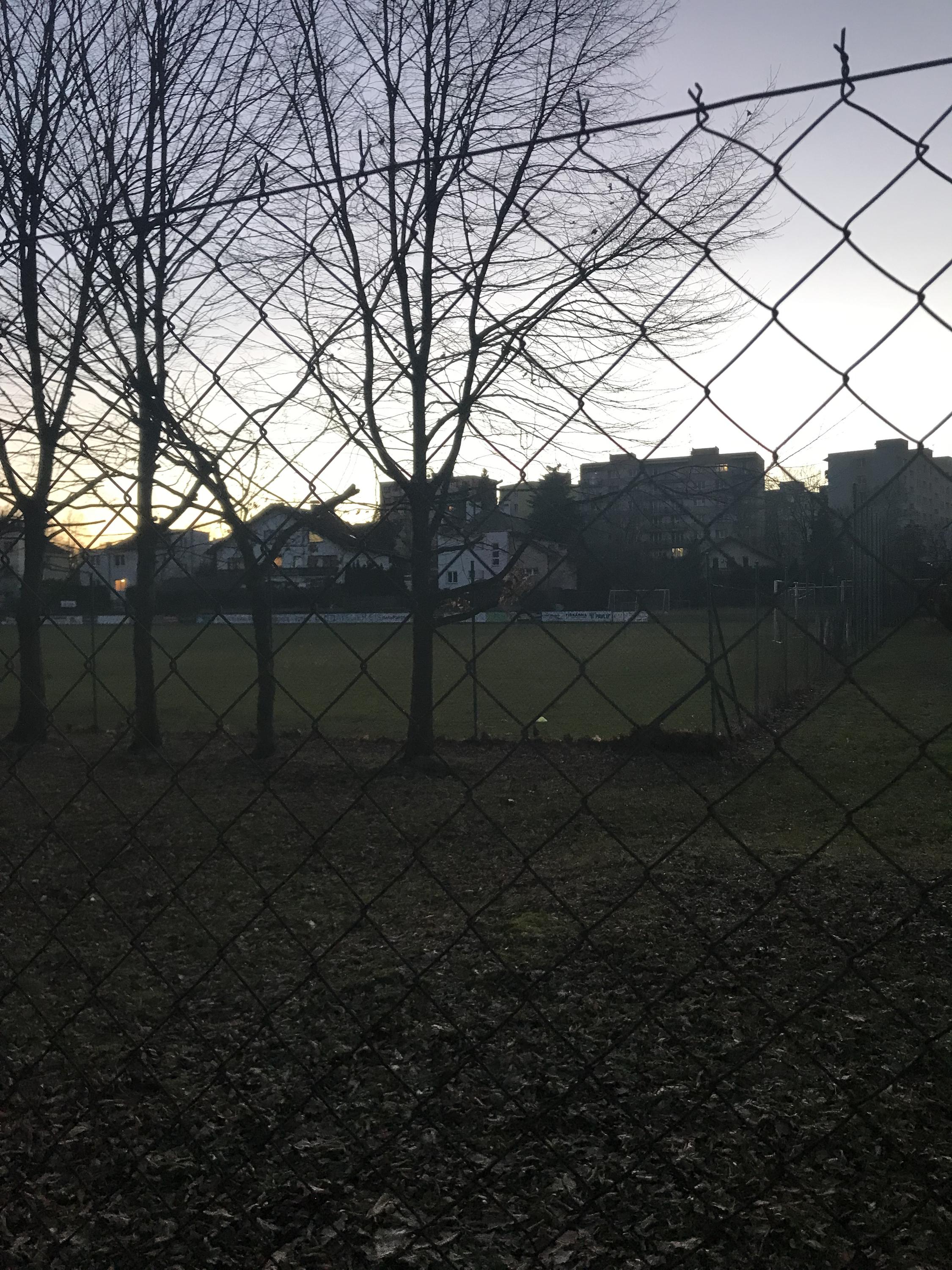 SK Slavia České Budějovice foto 4