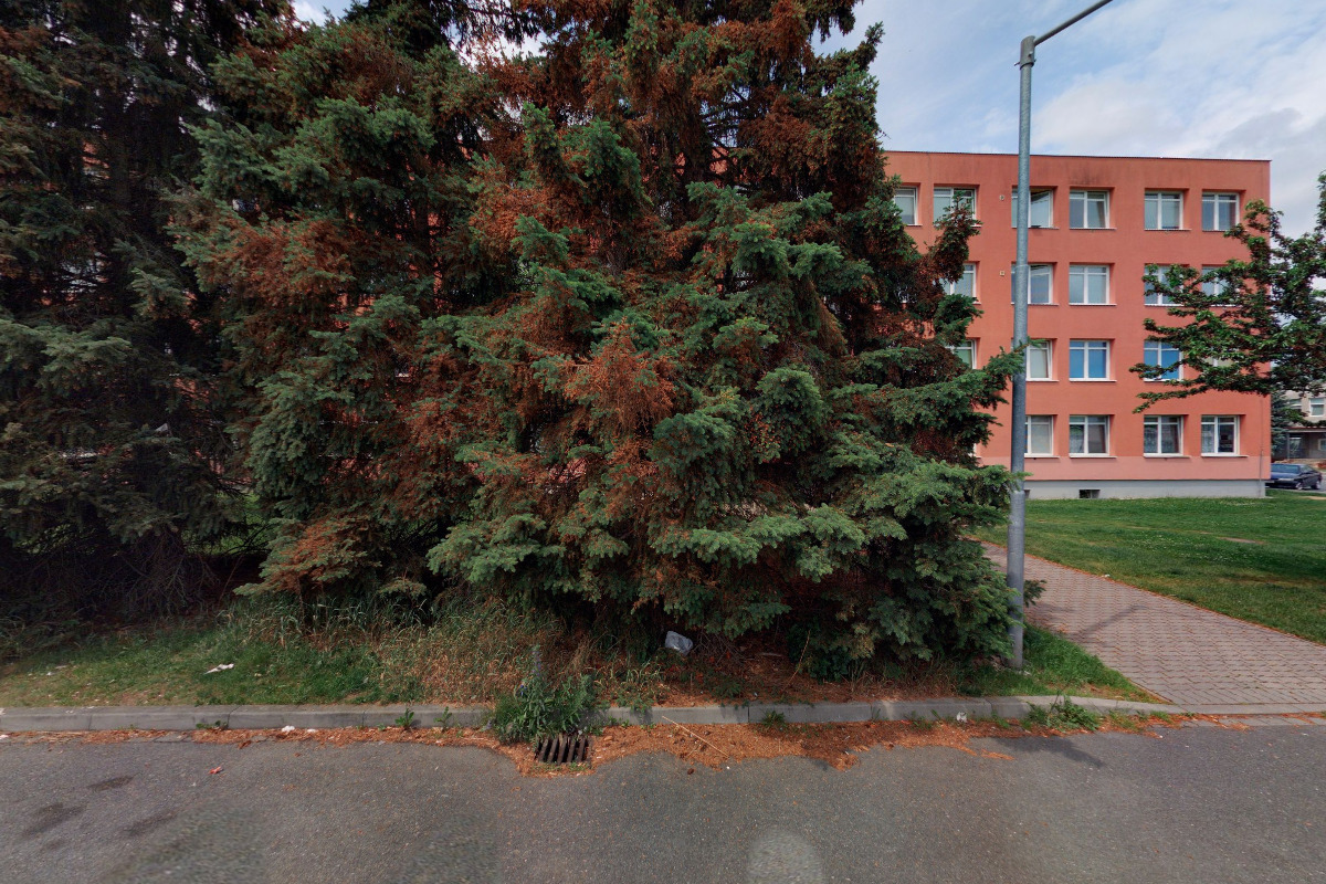 Miroslava Kačírková - úklidové služby