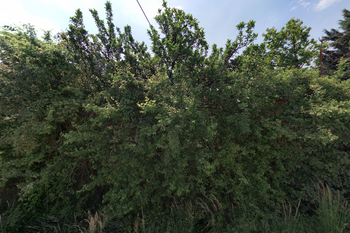 Montáže z lan foto 4