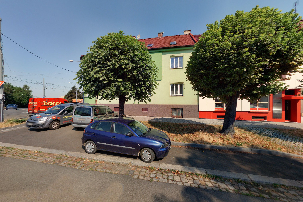 KVĚTINY Slaměnka foto 2