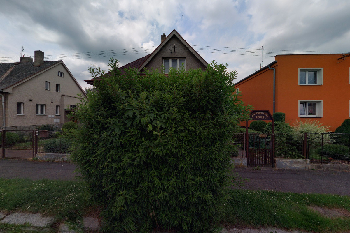 Dana Bohuslavová foto 2