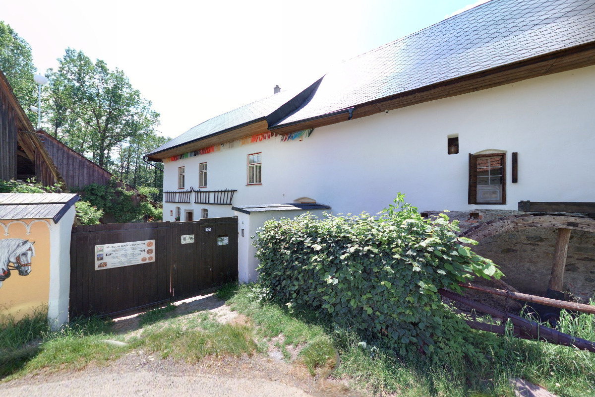 Marta Mastná - obrázky zvířat pro radost