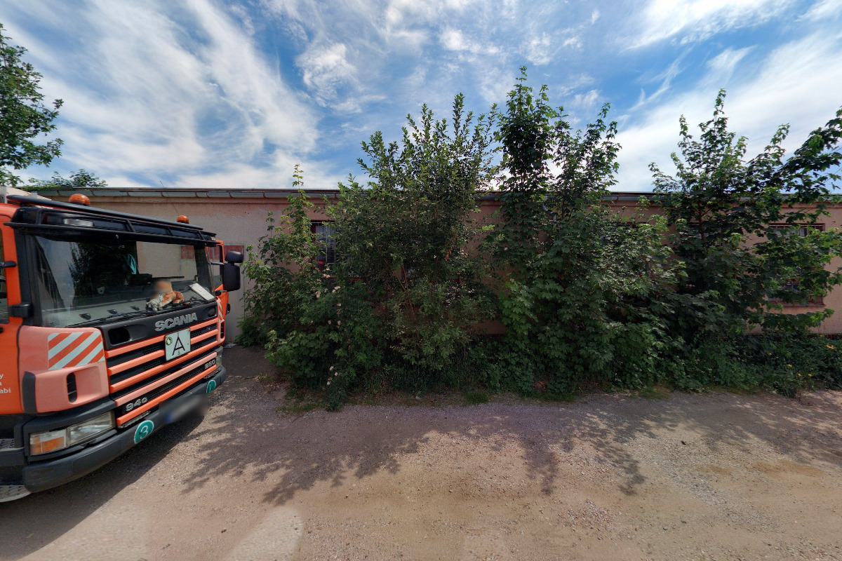 SVING foto 3
