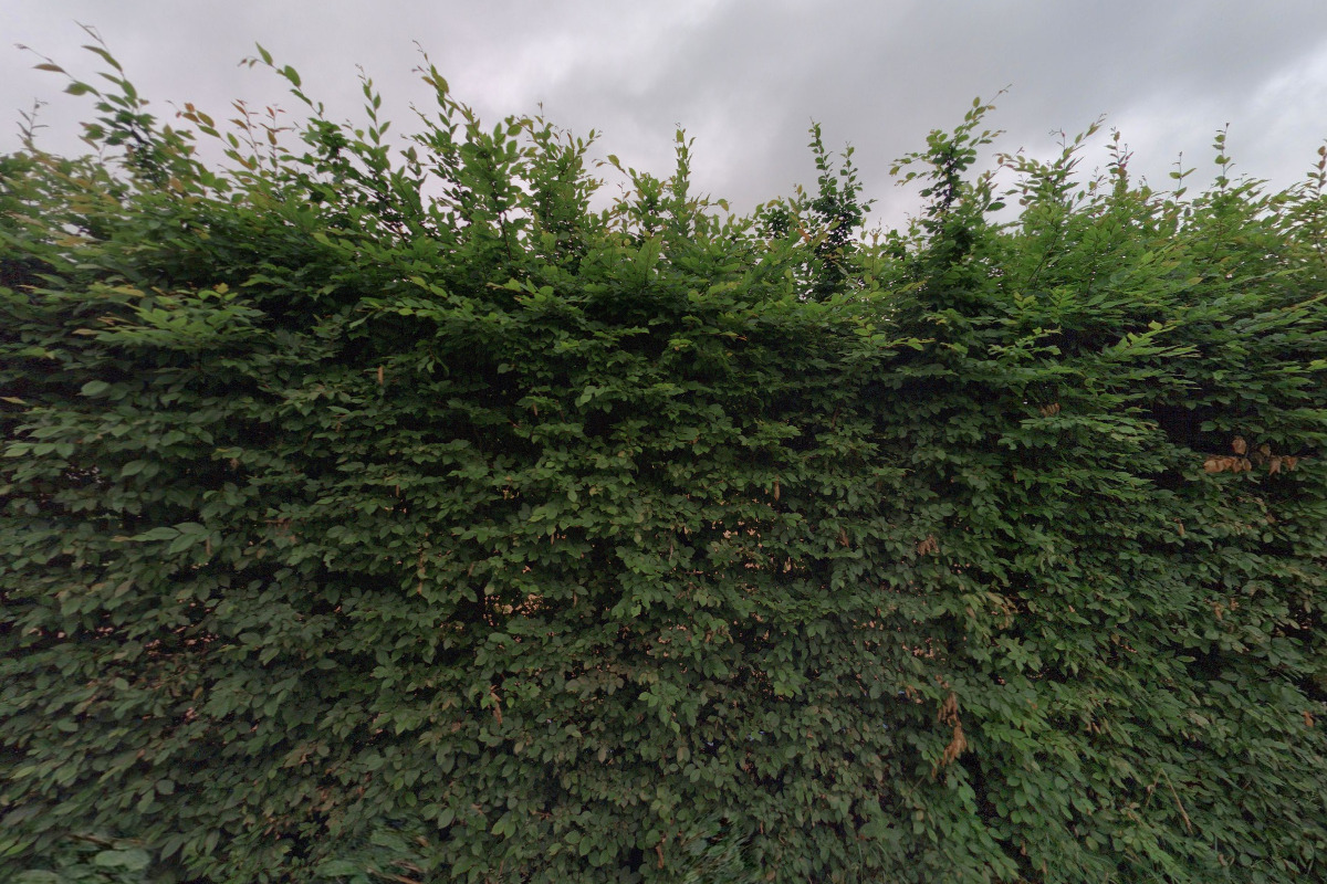 Nohejbalový oddíl Pavlovsko, z. s.