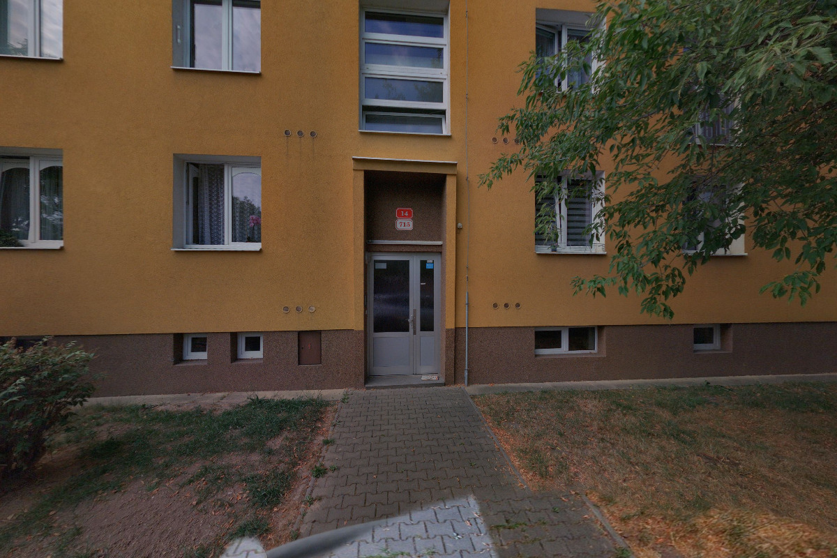 Platanus - Roman Langmaier