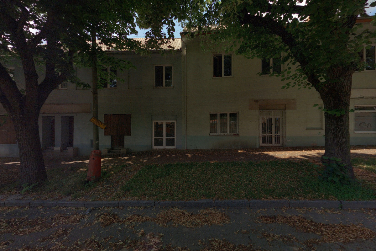 Zuzana Wildmannová - Fyzioterapie, rehabilitace a Dornova metoda psů a koní