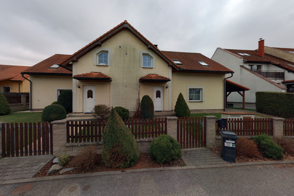 Vánoční stromky - Petr Šouta