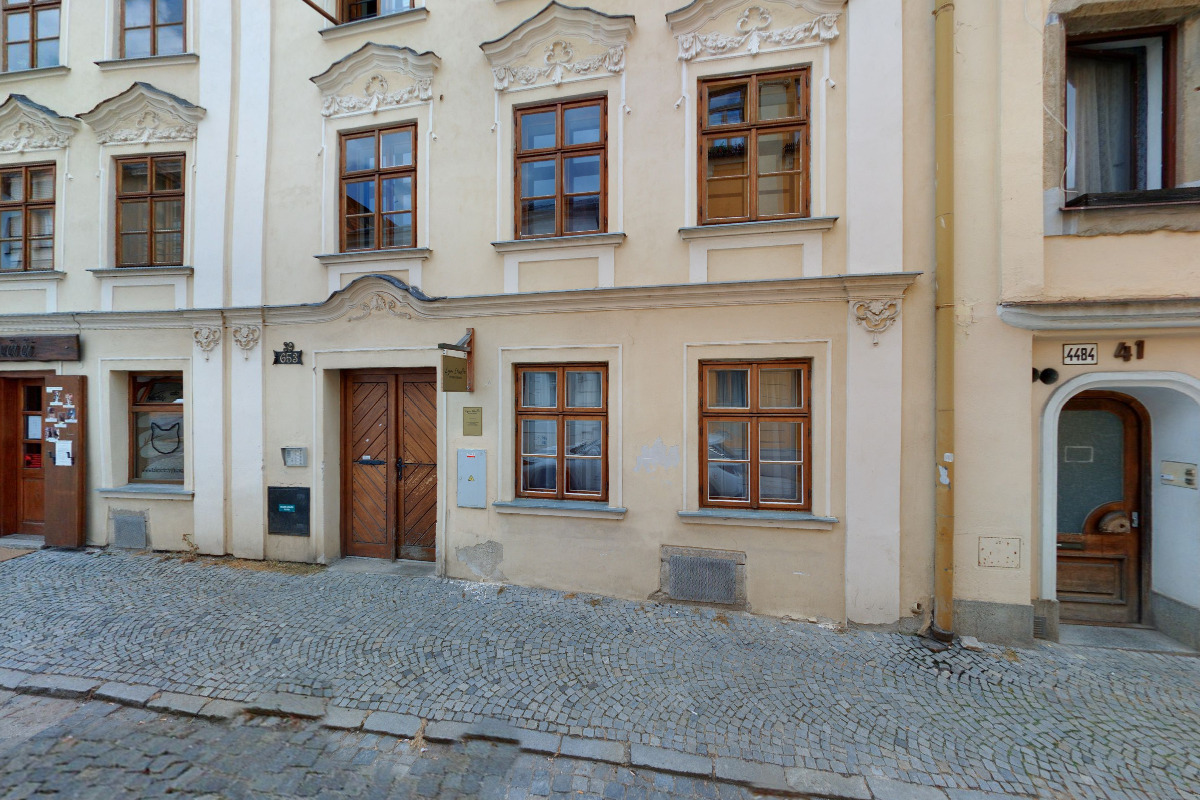 Ta kočičí v Jihlavě