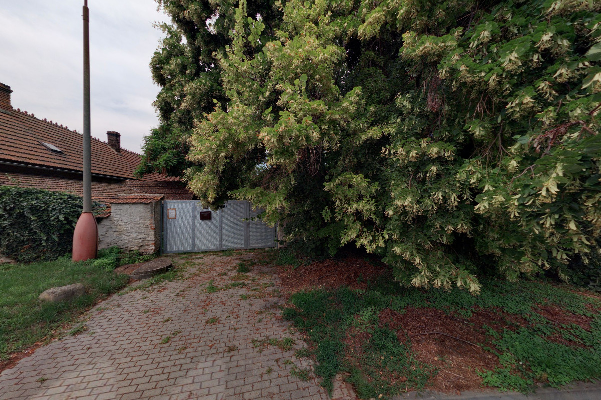 Dr. Hoffmann: Zdraví - Výživa - Chemie foto 2