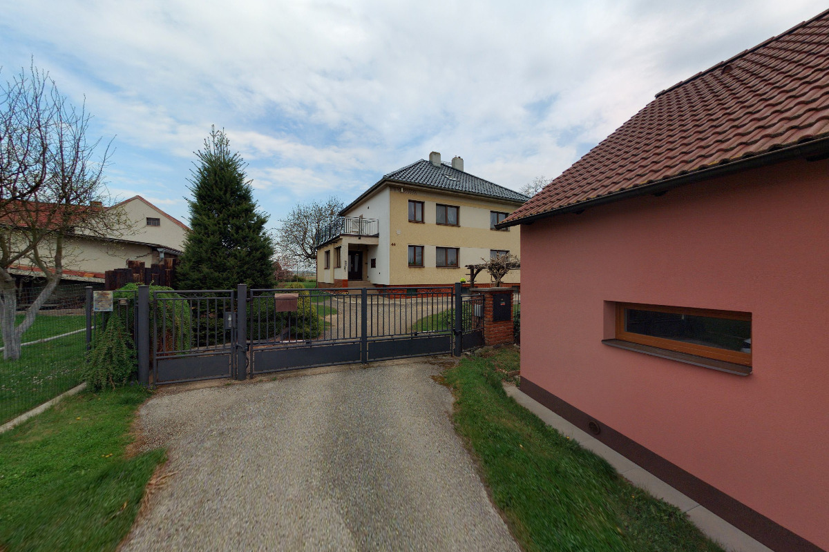Hortenzie foto 2