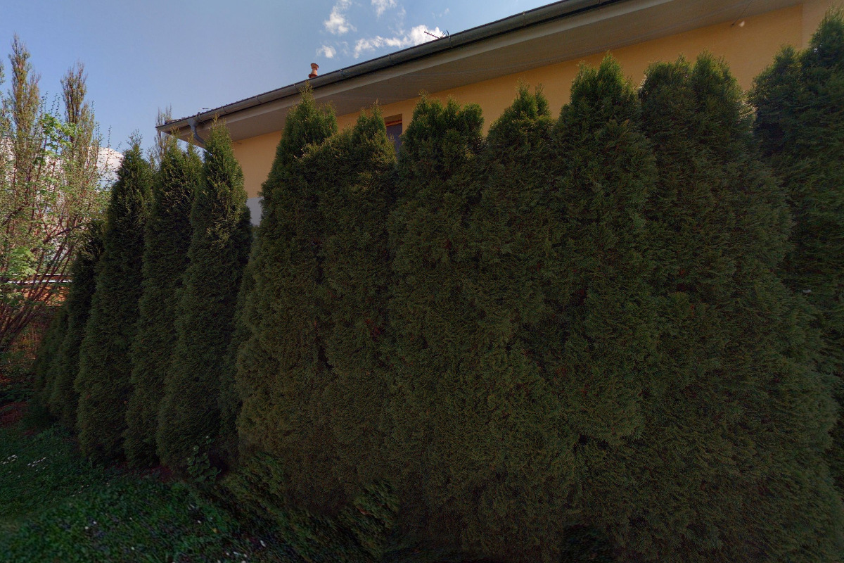 Účetnictví Sedláčková foto 2