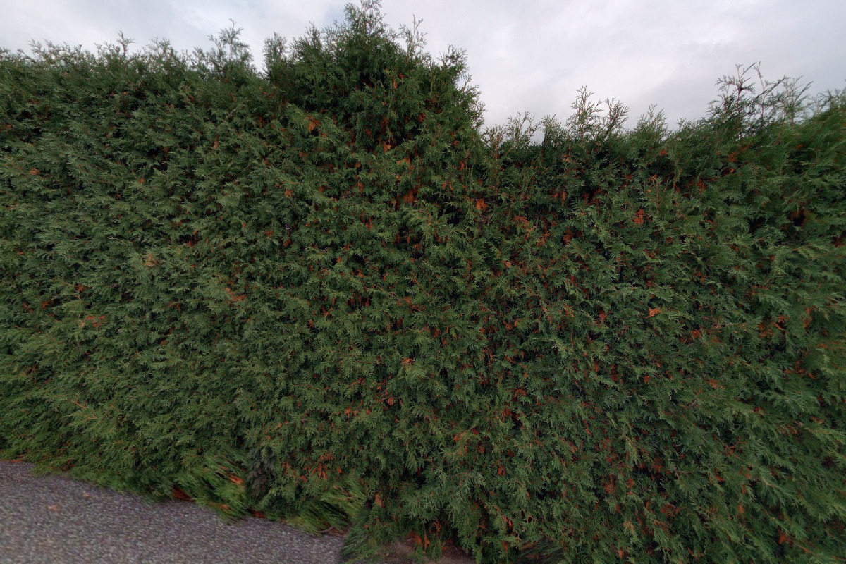 Chalupa Ratibořice foto 1